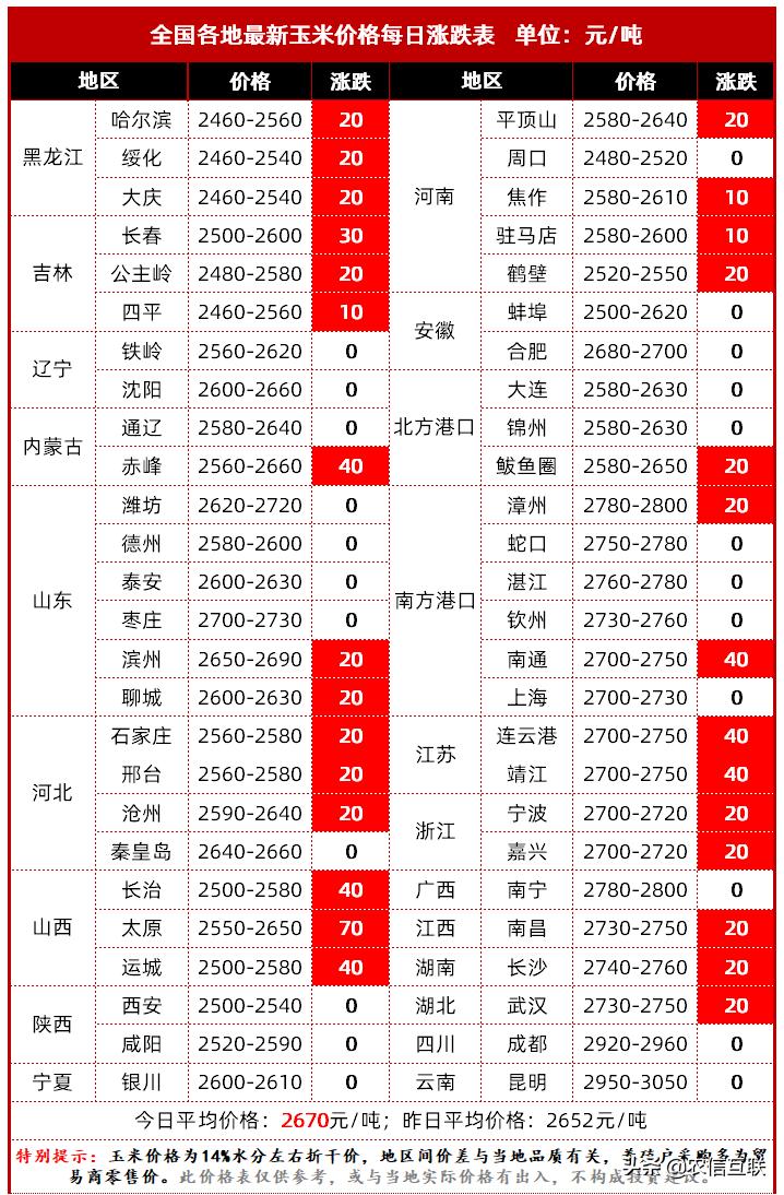 葱价格最新行情解析