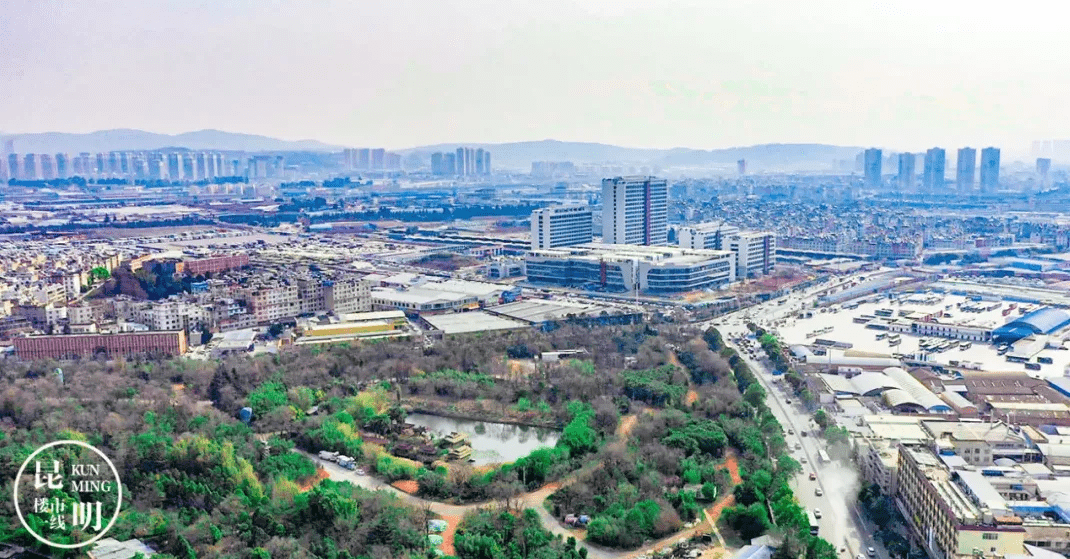 巫家坝地区发展脉搏加速，最新动态揭秘