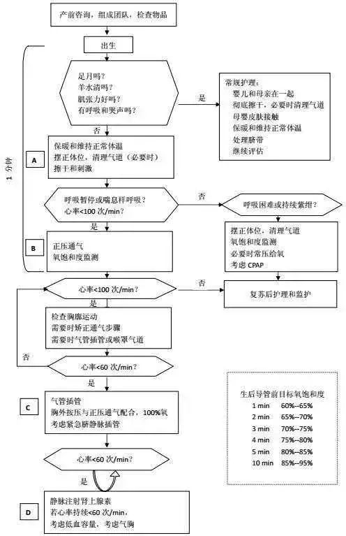 急诊抢救流程图优化，提升抢救成功率，保障患者生命安全