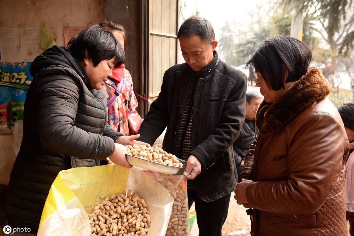 花生价格动态分析，最新趋势与影响因素探讨