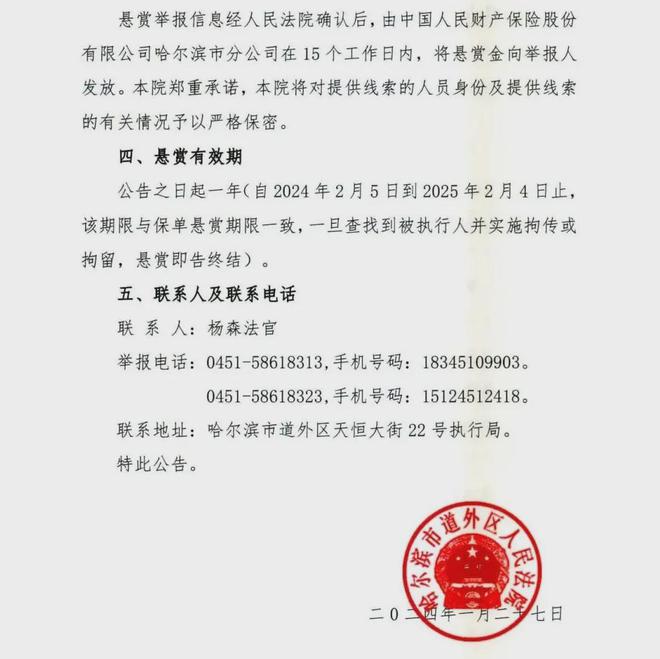 探索与挑战交汇点，最新悬赏公告揭晓