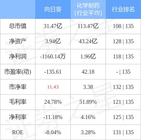 向日葵最新动态，探索未来无限潜力（300111）